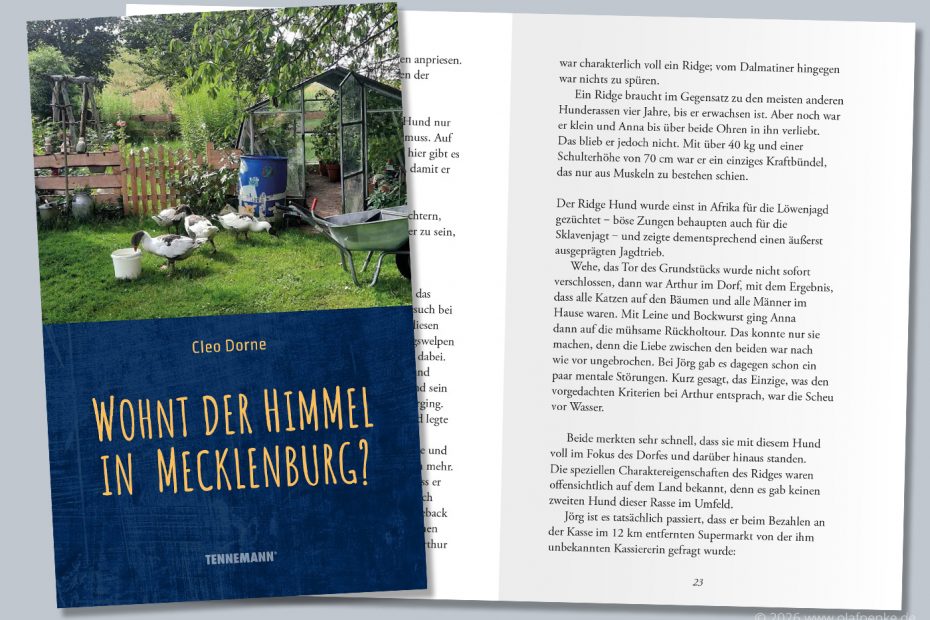 Buchtitel Wohnt der Himmel in Mecklenburg? von Cleo Dorne aus den Hause TENNEMANN