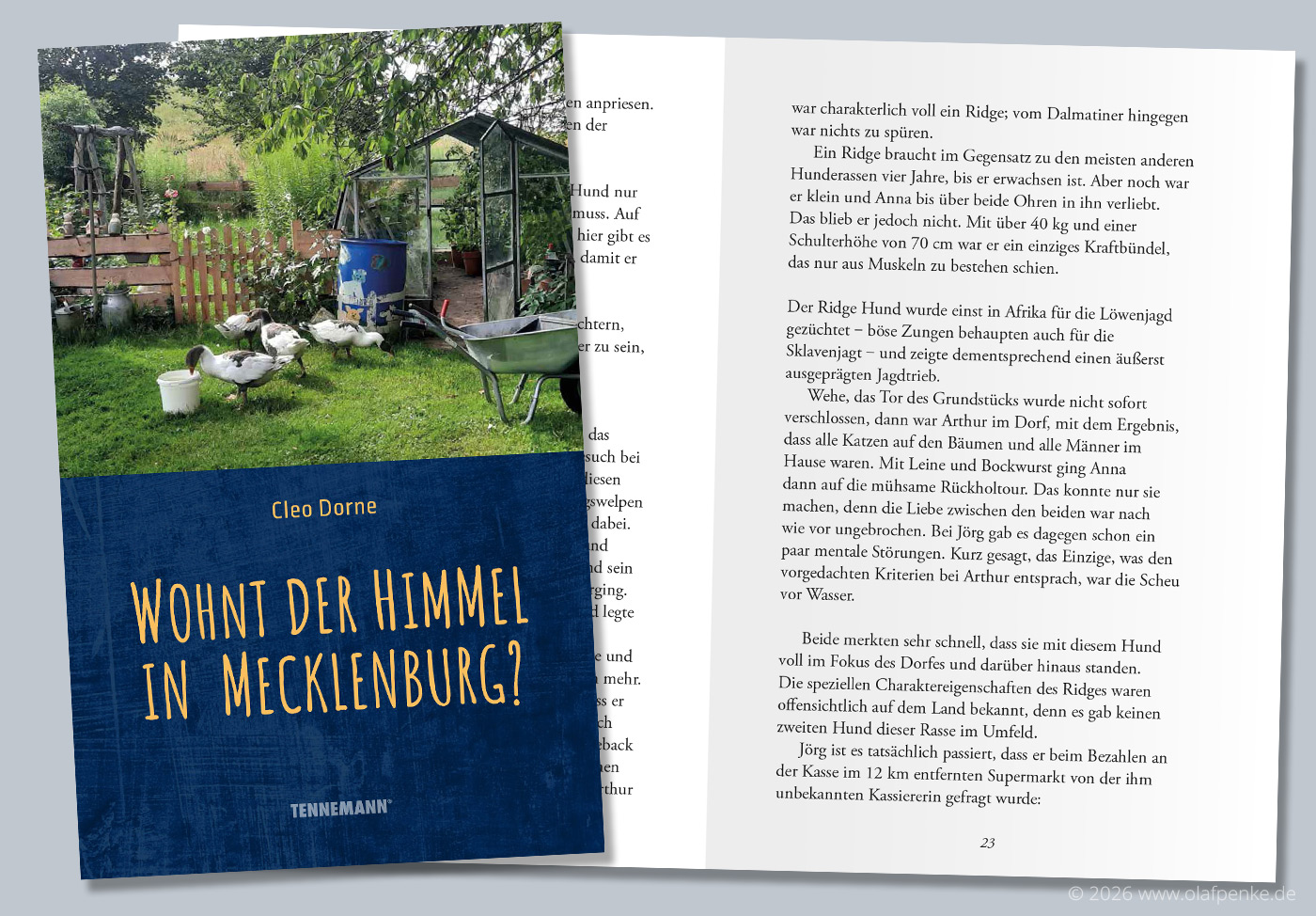 Buchtitel Wohnt der Himmel in Mecklenburg? von Cleo Dorne aus den Hause TENNEMANN